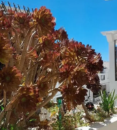 Penthouse Bela Alma קבאנס דה טאבירה