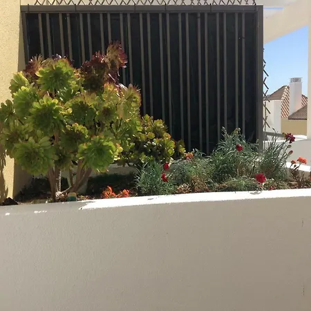 Apartment Penthouse Bela Alma *